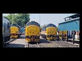 DRS open day at Crewe Gresty Bridge Depot