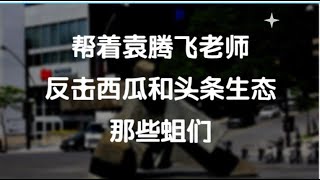 在西瓜平台反击攻击袁腾飞老师的蛆们，那么多视频不能过审，我为什么还这么开心？