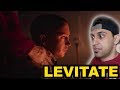LEVITATE - Twenty-One Pilots | STAY AWAY FROM DEMA | Re Reaction