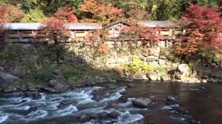 杖立温泉　紅葉　熊本県