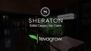 Transforming Luxury: Tevagrow's Stunning Custom Living Wall at Sheraton Suites Eau Claire Calgary