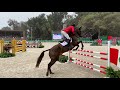 2019 starr witness show jumping team usa gold u0026 4th individually in the pan american games