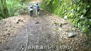 7月6日入川渓谷ハイキング