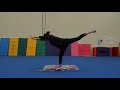 fbgc launch pad fundamentals beam lesson 8 acro skills