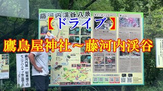 【ドライブ】鷹鳥屋神社～藤河内渓谷