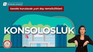 Nerede ve Nasıl Oy Kullanacağım? | Yurt Dışı Seçmen Kütüğüne Kayıtlı Seçmenler