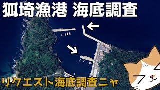 柴犬とリクエスト頂いた狐埼漁港にGOPRO放り込んでみた！漁港海底調査第3弾！！【宮城県石巻市】