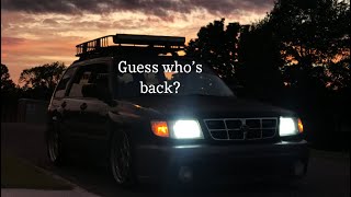 Daily Vlog - Return of the Fozzy pt. 2 ITS ALIVE!