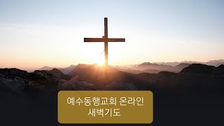 2025. 2. 25 예수동행교회 새벽예배