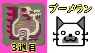 41日目 天眼×ニャンター×コレクト