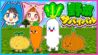 野菜となって楽しい生活するマインクラフト🥬🥕【 マイクラ / Minecraft 】