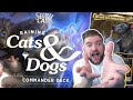 Raining Cats and Dogs: Secret Lair Commander Deck | FULL SPOILER & Review: Is It Worth It?