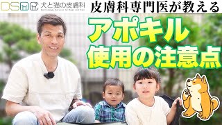 【犬と猫の皮膚科】痒みに効く「アポキル」副作用と注意点を皮膚科専門医が徹底解説！part2【獣医師】