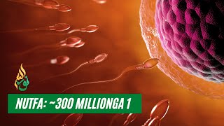 NUTFA: ~300 MILLIONGA 1 - ABDULLOH DOMLA