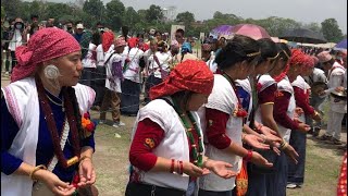 Sakela Ubhauli festival at Kathmandu tudikhel 2022 !!!