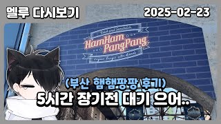 [2025.02.23] 🦊TALK 부산 햄햄팡팡 가봤는데 흐으으음..!!  [멜루 다시보기]