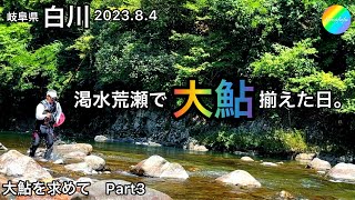 【鮎釣り】白川（岐阜県）｜2023.8.4【友釣り】