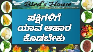 Birds food in Kannada ಪಕ್ಷಿಗಳಿಗೆ ಯಾವ ಯಾವ ಆಹಾರ ನೀಡಬೇಕು #birdshouse