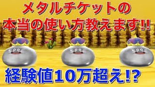 【テリワンSP 実況】メタルチケットの本当の使い方教えます！激レアルーファもゲットしよう！現状最強パーティも紹介【スマホ版 テリーのワンダーランドSP】