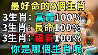 財運會爆發的不可收拾，天生最好命！這些生肖命好福氣大，一生富貴長壽！下面一起來看看吧，錢多的怎麼花都花不完，哪些生肖好命又壽長呢 |禪悟修心 #生肖運勢 #佛學 #國學