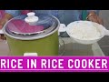 How to Cook Rice in a Rice Cooker | Panasonic Rice Cooker Demo | Easy Cooking Rice in a Rice Cooker