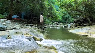 [ASMR] solo camping sulawesi selatan - indonesia.