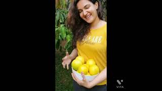 Actress Honeyrose at her Garden #shorts #honeyrose #latest #malayalam #heroine #fruits #abiu