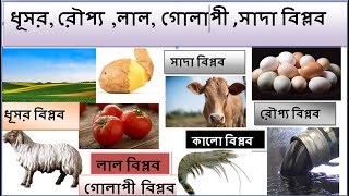 ভারতীয় বিপ্লব   /  সবুজ বিপ্লব / কালো বিপ্লব /  নীল বিপ্লব /  হলুদ গোল  / রৌপ্য বিপ্লব /  লাল বিপ্লব