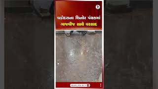 Vadodara ના શિનોર પંથકમાં ગાજવીજ સાથે વરસાદ | Gujarat | Shorts | Sandesh News