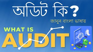 অডিট কি? What is Audit by Suman Sarkar || Maple Digital Service || Business Consultant