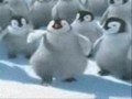 animal dance (music by Lady Gaga)