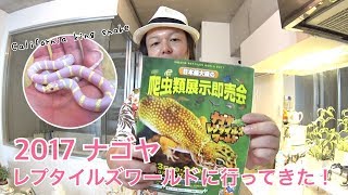 ナゴレプ2017に行きました！【レプタイルズワールド】Went to reptile world Nagoya Japan!