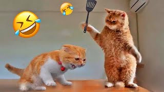 You Laugh You Lose😛Funniest Dogs and Cats 2025😸🐶