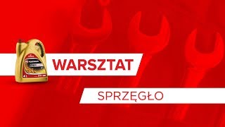 Warsztat Platinum Expert | Co oznacza, że kończy się sprzęgło? Z czego składa się sprzęgło?