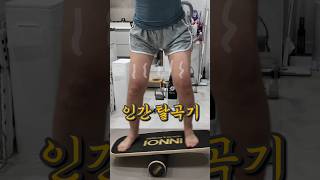 밸런스보드 타면 이렇게 됩니다. 현실후기