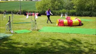 Agility Kreismeisterschaft KG10 - 21.05.2017 - HSV Nidderau Ebstadt - Border Collie Ivy