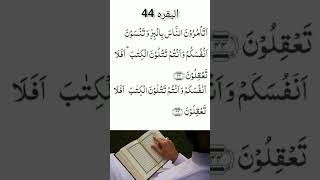 holy Qur'an part 1# Al Baqarah 44#arabic # recitation #youtubeshorts