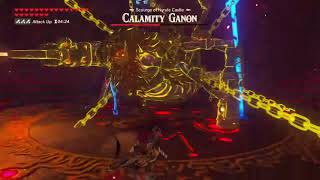 How to kill Calamity Ganon in 30 seconds :)