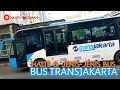 BUSWAY TRANSJAKARTA ❗ HALTE DAN JENIS BUS TRANSJAKARTA