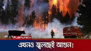 ক্যালিফোর্নিয়ায় বেড়েই চলেছে দাবানলের ভয়াবহতা; মৃতের সংখ্যা ১১  | US Wildfire | Jamuna TV