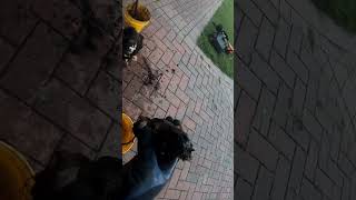 WARNING BORING CONTENT VIEWER DISCRETION IS ADVISED.