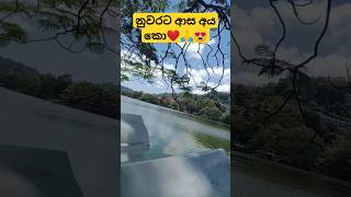 නුවර කියන්නෙම පිස්සවක්❤️😍 #shortvideo #kandy #kandylake #youtubeshorts #viral