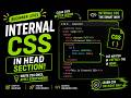 Internal CSS in HTML | Style Your Page Easily | CSS Tutorial for Beginners