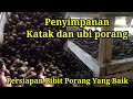 CARA MENYIMPAN BIBIT KATAK dan UMBI PORANG