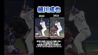 中日細川選手のバッティングフォーム解説