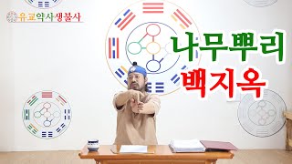 [유교약사생불사 225강] 나무뿌리가 조상님을 감싸면 후손들은 공황증세와 맥이 빠지는 병이 생긴다