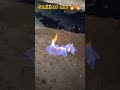 sanitizer fire 🔥🔥 shorts shortvideo experiment