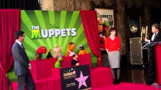 The Muppets honored with star on the Hollywood Walk of Fame