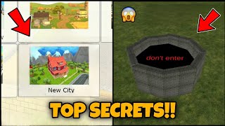 😱 CHICKEN GUN TOP SECRETS IN LATEST VERSION!! CHICKEN GUN GLITCHES