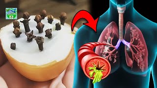 Cuts Cough Like a Knife  Expectorant  Natural Antibiotic for Bronchitis and Pharyngitis